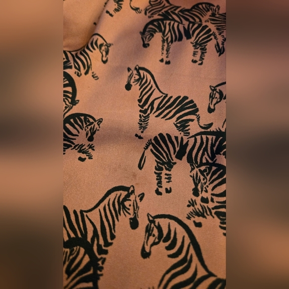 Zara Zebra Print Dress - size small - Picture 5 of 11